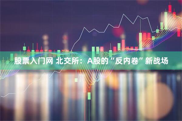 股票入门网 北交所：A股的“反内卷”新战场