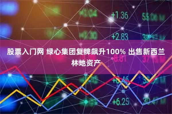 股票入门网 绿心集团复牌飙升100% 出售新西兰林地资产